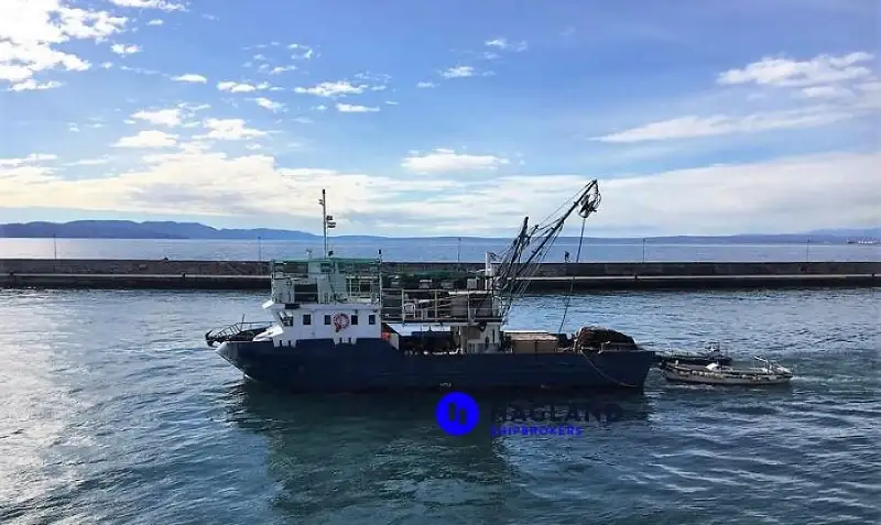 Ọkọ̀ tí ó mú ẹja fún tà