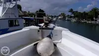 Àtìlẹyìn ìwàdìí fún tà