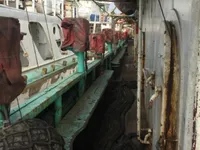 Ọkọ̀ tí ó mú ẹja squid fún tà