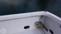 Àtìlẹyìn ìwàdìí fún tà