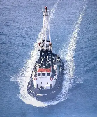 Towboat for sale