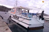 Ọkọ̀ Fẹrrí fún tà