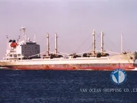 Reefer ọkọ fun tita