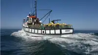 Trawler fun tita