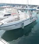 Ọkọ̀ ojú omi ìrìn-àjò fún tà