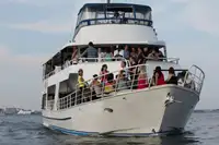 Ọkọ̀ ọpọlọpọ̀ ènìyàn fún tà