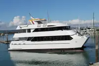 Catamaran fún tà