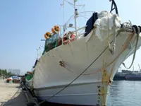 Ọkọ̀ tí ó mú ẹja squid fún tà