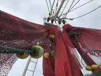 Ọkọ̀ tí ó mú ẹja fún tà