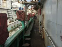 Ọkọ̀ tí ó mú ẹja squid fún tà
