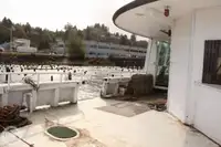 Ọkọ̀ Fẹrrí fún tà
