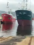 Ọkọ̀ tí ó mú ẹja fún tà