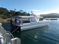 Catamaran fun tita
