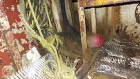 Ọkọ omi ti o fa fún tà