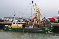 Trawler fun tita