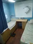 Olopobobo ti ngbe fun tita