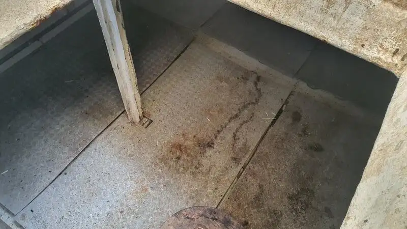 Ọkọ̀ tí ó mú ẹja pọ̀ fún tà