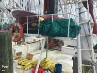 Ọkọ̀ tí ó mú ẹja fún tà