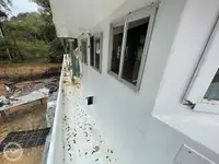 Ọkọ̀ tí ó mú ẹja fún tà