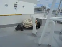 Ọkọ̀ ìjàkú fún tà