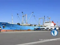 Reefer ọkọ fun tita
