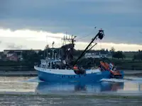 Ọkọ̀ tí ó mú ẹja fún tà