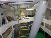 Ọkọ̀ tí ó ń gbé àwọn ohun fún tà