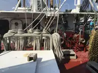 Ọkọ̀ tí ó mú ẹja fún tà