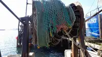 Ọkọ̀ tí ó mú ẹja fún tà