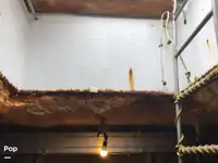 Ọkọ̀ tí ó mú ẹja fún tà