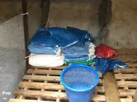 Ọkọ̀ tí ó mú ẹja fún tà