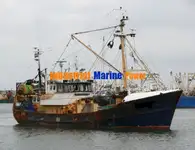 Ọkọ̀ tí ó mú ẹja fún tà