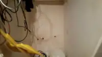 Ọkọ̀ tí ó mú ẹja fún tà