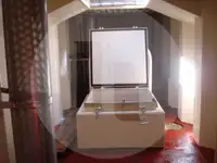 Ọkọ̀ tí ó mú ẹja fún tà