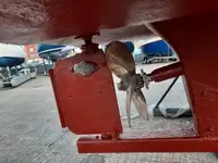 Ọkọ̀ ojú omi kékeré fún tà
