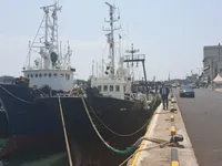Ọkọ̀ tí ó mú ẹja fún tà