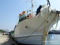 Ọkọ̀ tí ó mú ẹja squid fún tà