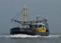Ọkọ̀ tí ó mú ẹja fún tà