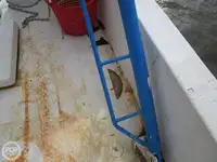 Ọkọ̀ tí ó mú ẹja fún tà