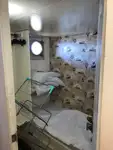 Ọkọ̀ ojú omi tí ó mú ìdọ̀tí fún tà
