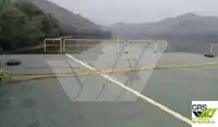Ọkọ̀ fún tà