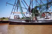 Ọkọ̀ tí ó mú ẹja fún tà