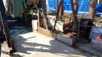 Ọkọ̀ tí ó mú ẹja fún tà