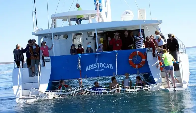 Catamaran fún tà