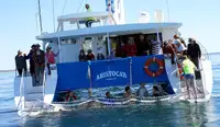 Catamaran fún tà