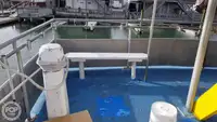 Catamaran fún tà