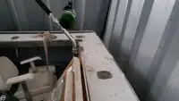 Ọkọ̀ tí ó mú ẹja fún tà