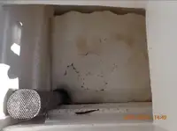 Ọkọ̀ tí ó mú ẹja fún tà