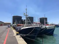 Longliner fun tita