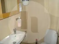 Ọkọ̀ tí ó mú ẹja fún tà